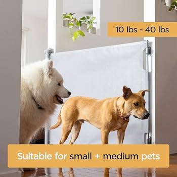 dogページ Amazon.com: GXSDJ Metal Dog Playpen,Dog Fence Exercise Pen